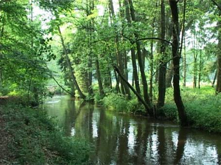 Niederkrüchten : Elmpter Schwalmbruch, die Schwalm